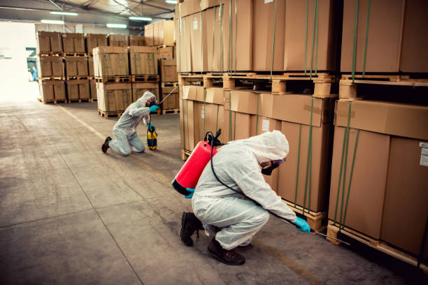Best Commercial Pest Control Services  in Pana, IL