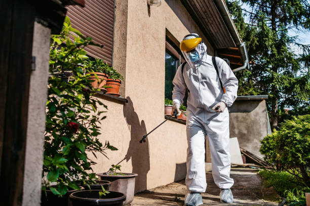 Best Termite Control Services  in Pana, IL