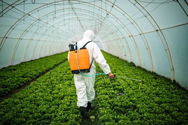 Best Local Pest Control Services  in Pana, IL