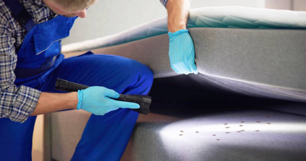 Best Pest Control Near Me in Pana, IL