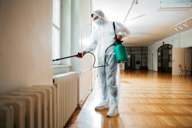 Best Insect Control  in Pana, IL