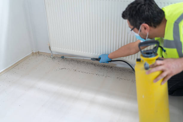Best Affordable Pest Control Services  in Pana, IL