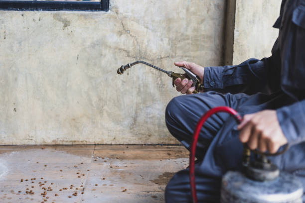 Best Best Pest Control Companies  in Pana, IL
